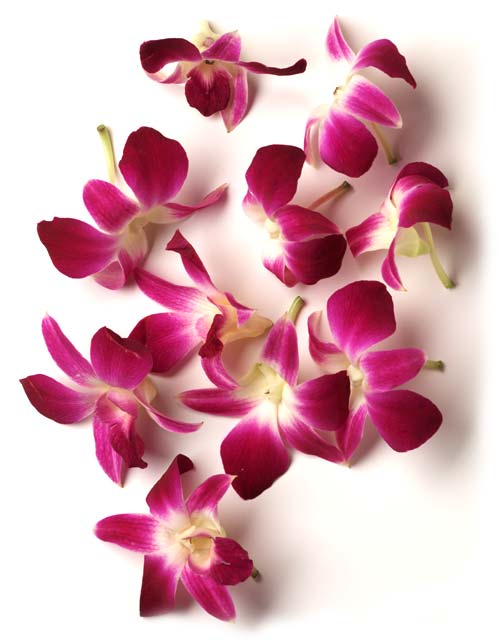 Hawaii flower lei from hawaiian Flower Farm. Purchase fresh fragrant Hawaii 