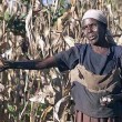 african farmers