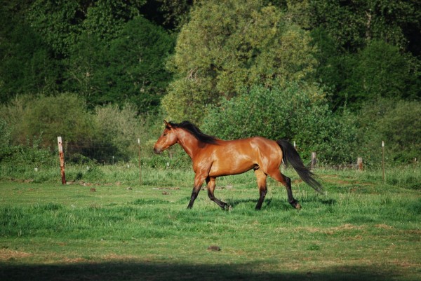 beverly eft