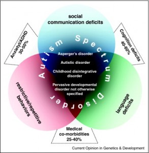 Lynette Louise, State Dependent Learning: A Teaching and Autism AHA! Moment