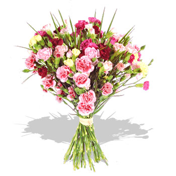 lgorious bunch of pink and red carnations wrapped in white ribbon