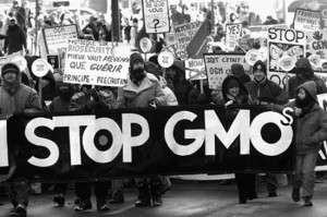 GMO protest picture of picketers in black and white
