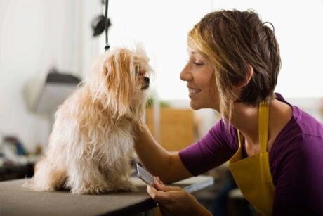 woman petting little tan dog smiling with love and care