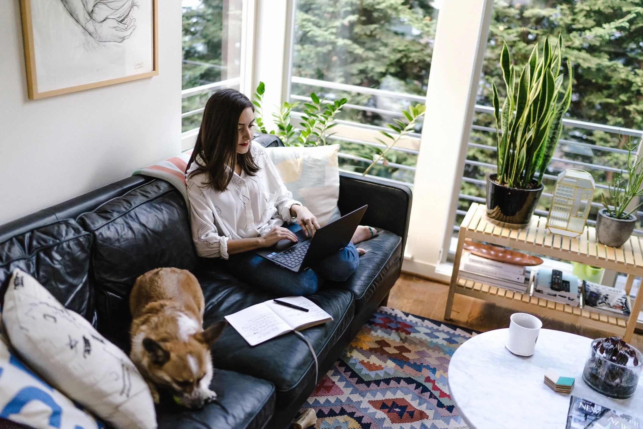 woman online at home on sofa with dog lying next to her playing games