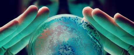teal colored picture of hands holding globe filled with bacteria