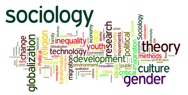 sociology wordle in many colors
